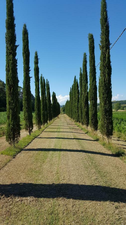 Podere Chiasso Gherardo Villa Peccioli ภายนอก รูปภาพ