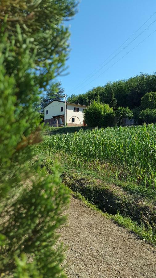 Podere Chiasso Gherardo Villa Peccioli ภายนอก รูปภาพ