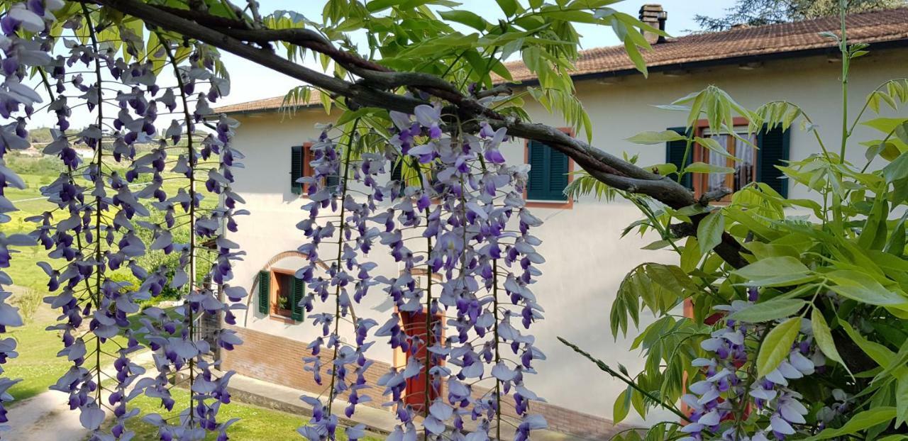 Podere Chiasso Gherardo Villa Peccioli ภายนอก รูปภาพ